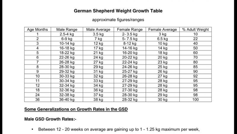 German Shepherd Size And Weight Chart