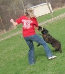 Dog Canidae Grass Dog breed Obedience training