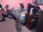IMG_20101210_162611.jpg