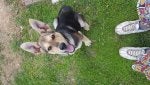 20180418_180814_1524094455890.jpg