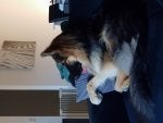 20180415_074914.jpg