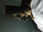 IMG_20180417_213845.jpg