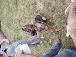20190517_122316_1558360246522.jpg